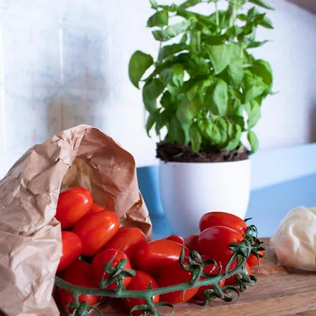 アパート Casa Derosa In Centro ソレント